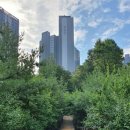 개포3-102 이미지