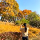 가을여행 이미지