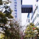 부산자유시장 이미지