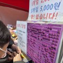 쏘지 | 2026년 완주 삼례딸기축제 다녀왔어요. 체험부터 먹거리까지 솔직후기