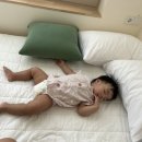 멍쿠실낭 이미지