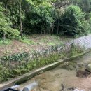 덕성그린약국 이미지