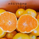 강정올레농수산