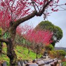 설장구 이미지