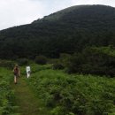 노꼬메오름 이미지