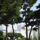 인천 영종 한양수자인 아파트 앞 이미지