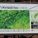 방계 이미지