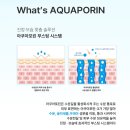 필온필스킨 | 얼굴 열 내리기에 좋은 내돈 내산 홈케어 디펜스토너 & 디펜스겔