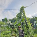 서나라농장 이미지