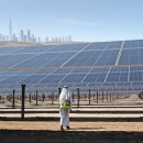 남성 태양광발전소 이미지