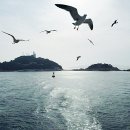 해변의 꿈 이미지