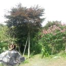 광산구-011 이미지