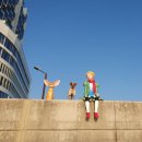 어린왕자와 사막여우 | 거북섬어린왕자와 사막여우