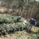 일봉농장 이미지