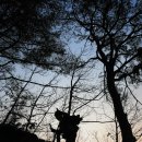 문곡리 상정바위 등산로 입구 | 태백/정선, 상정바위산 산행 2일차... 고한~정선~문곡리~상정바위산~여탄리~노루고개