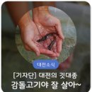 수련교 앞1 이미지