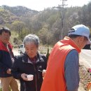 김일환 농장 이미지