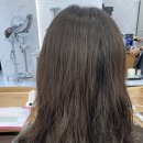인스(INS)헤어