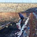 막골농장 이미지