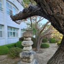 선덕여고앞 이미지