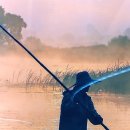 우포늪생태관 이미지