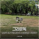 그라운독 | 남양주 애견카페 그라운독 강아지 수영장있는 야외애견카페