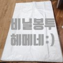 김장철 필수템! 내가 직접 써본 비닐봉투 추천 후기