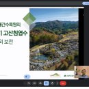 백두그린 이미지