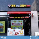 개밥파는 고양이 야당점 네이버블로그