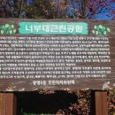 너부대근린공원 이미지