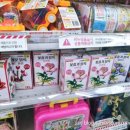 뽑기아지트 이미지