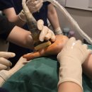 대구수지 이미지