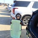 겨울독서교실(전쟁과 평화) | 납작만두 중독 / 독서지옥 / 뮌스터담 눈썰매 후기