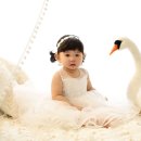 수예블리 이미지