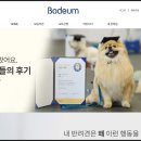 아지나라 이미지