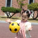 별빛소나타 이미지