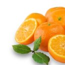 신진식품 이미지