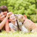 마루동물병원 이미지