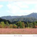 포천 이미지