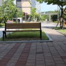 어느날의 일기...전복과 랍스타 이미지