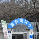 구드래 선착장 화장실 이미지