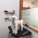 한미이발관