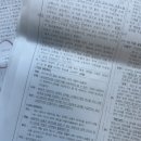 원광유치원 | 77월
