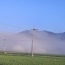 해돋이농장 이미지