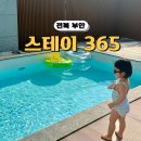 스테이365 | 광주 근교 키즈펜션 부안 풀빌라 스테이 365 온수풀 후기
