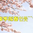 송카 이미지