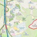 예꿈음악교습소 Daum카페