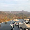 반계초등학교 | 원주 반계리은행나무｜15일 실시간 은행 단풍 CCTV 보는방법 주차 사진꿀팁