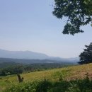 이현숙 농장 이미지