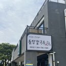 돌담칼국수세화점